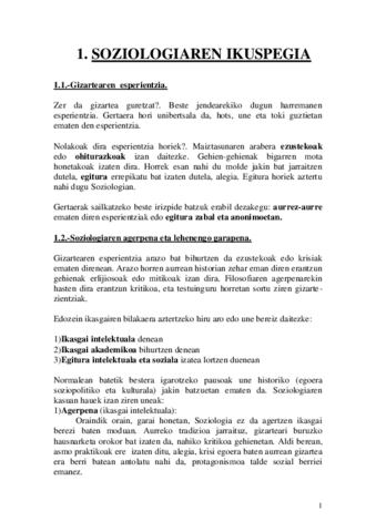 1.Soziologiarenikuspegia-1.pdf