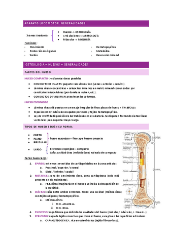 ANATOMÍA I - generalidades aparato locomotor (osteología, artrología, miología).pdf
