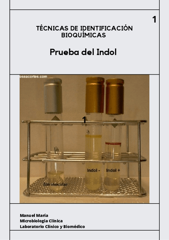 Prueba-del-Indol.-Identificacion-Bioquimica.-Editada.-Manuel-Maria.pdf