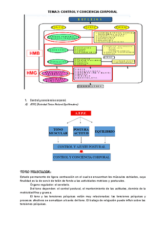 TEMA-2-MOTRICIDAD.pdf