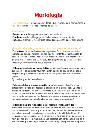 Apuntes-Morfologia.pdf