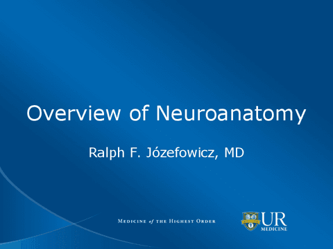 4.-Overview-of-Neuroanatomy-1.pdf