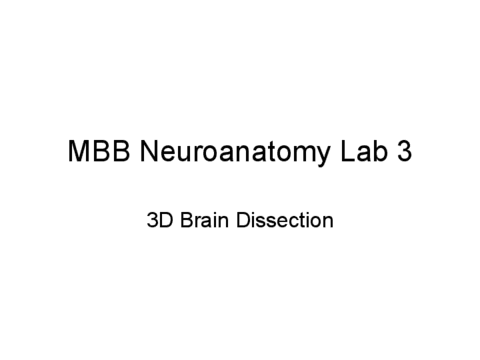 MBB-NA-Lab-3-v2020.pdf