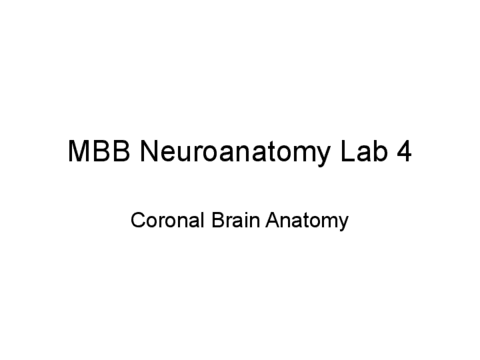 MBB-NA-Lab-4-v2020.pdf