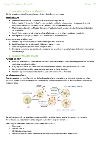 Tema-7.pdf
