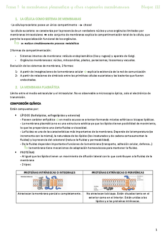 Tema-9.pdf