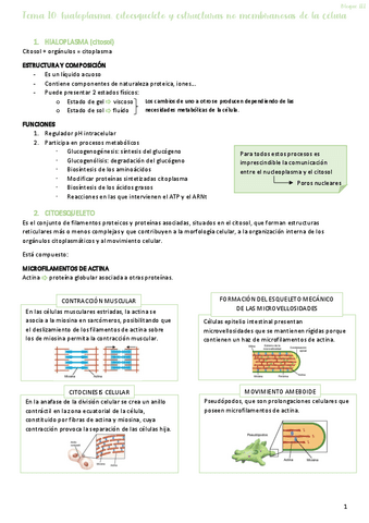 Tema-10.pdf