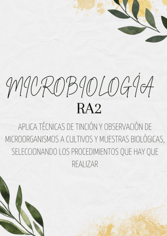 Resumen-RA2-Micro.pdf