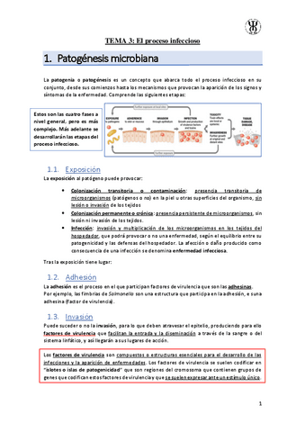 T3El-proceso-infeccioso.pdf