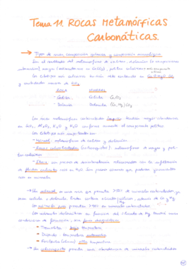 Tema 11 Petrología Metamórfica.pdf