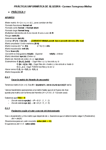 Resumen-Practicas-Algebra.pdf