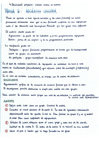 Tema-6.pdf