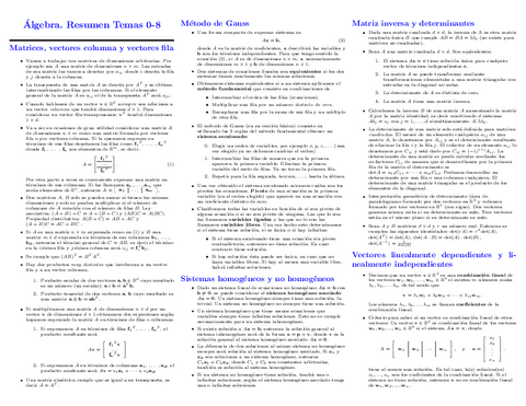 resumentemas0-8.pdf