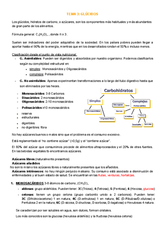 T-3-GLUCIDOS.pdf