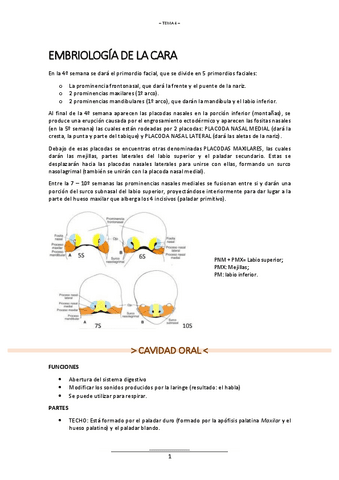 T.4-ANATOMIA.pdf