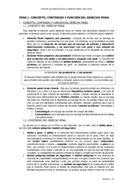 Introducción Derecho Penal (Temas 1-5).pdf