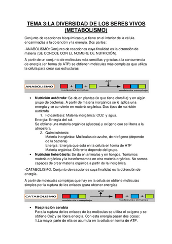 TEMA-3-METABOLISMO.pdf