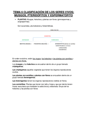 TEMA-6-CLASIFICACION-DE-LOS-SERES-VIVOS-II.pdf