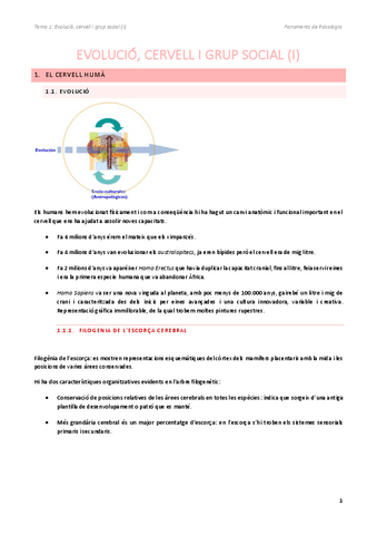 Cervell-i-evolucio.pdf