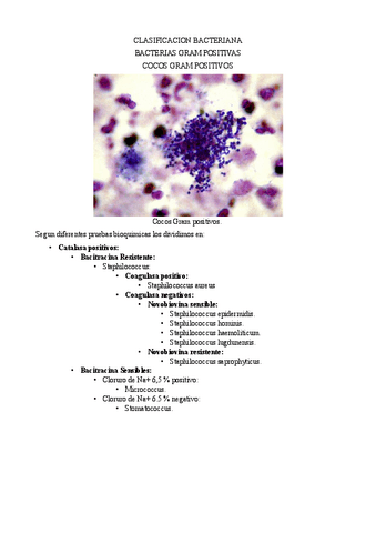 ClasificacionBacteriasIMPRIMIDO.pdf