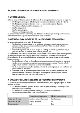 Pruebas-bioquimicas-IMPRIMIDO.pdf