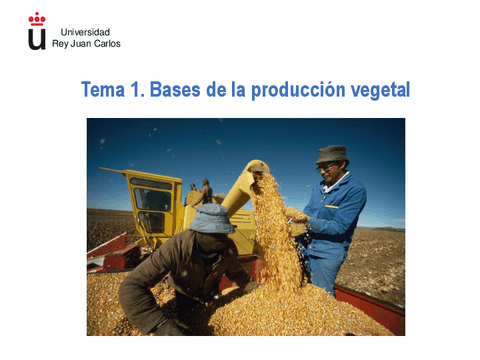 tema-1.-Rev-verde20.pdf