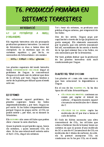 T6.-PRODUCCIO-PRIMARIA-EN-ECOSISTEMES-TERRESTRES.pdf