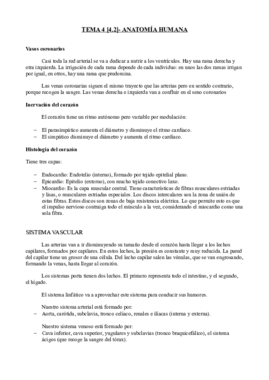 Tema 4[4.2]- Anatomía.pdf