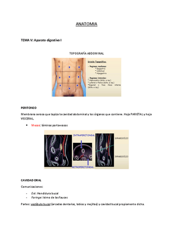APARATO-DIGESTIVO.pdf