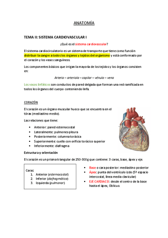 APARATO-CARDIOVASCULAR.pdf