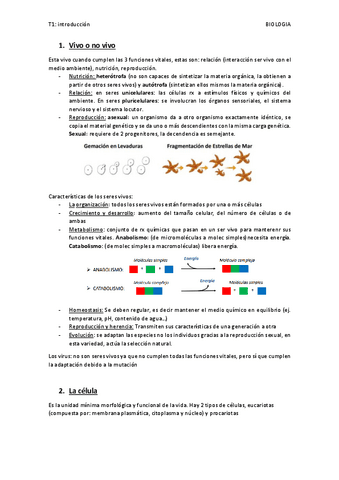 Tema-1-introduccion.pdf