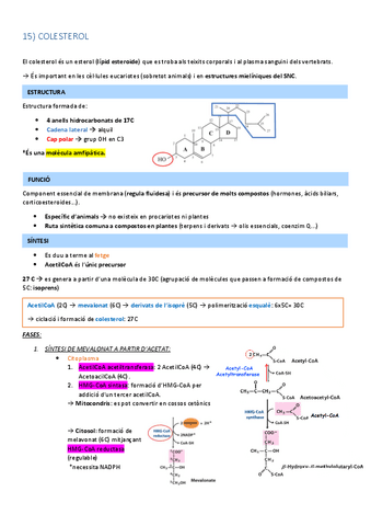 15.-COLESTEROL.pdf