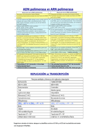 comparaciones-replic-trans-trad.pdf