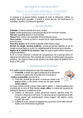 BLOQUE-2-SPA-SENSACION.pdf