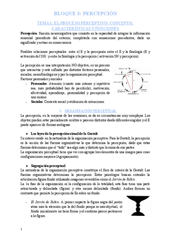 BLOQUE-3-SPA-PERCEPCION.pdf