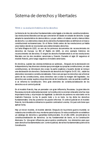 SISTEMA-DE-DERECHOS-Y-LIBERTADES.pdf