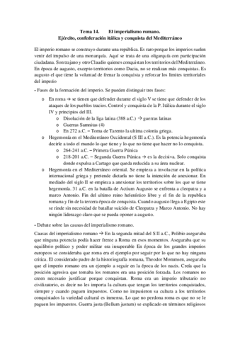 Tema-14ROMA.pdf