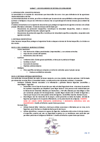 unidad-7.pdf