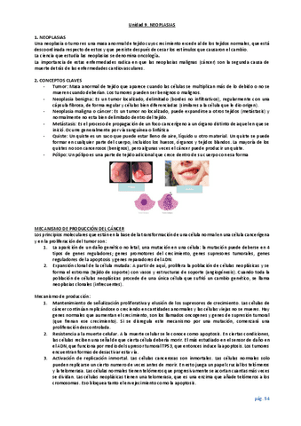 unidad-9.pdf