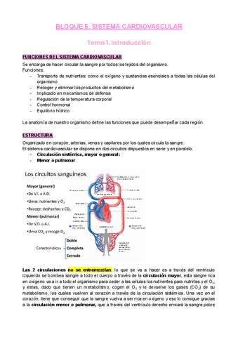 B5-S.cardiovascular-2022.pdf