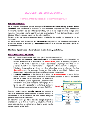 B8-S.digestivo-2022.pdf