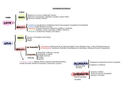 tablas-bacterias-completas.pdf