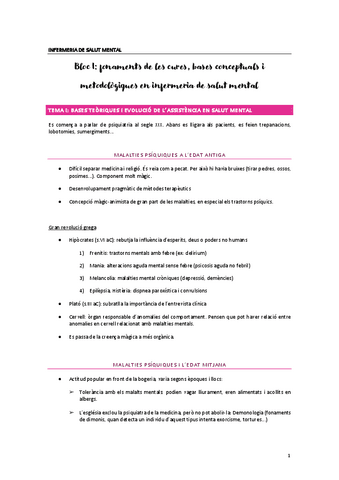 INFERMERIA-DE-SALUT-MENTAL.pdf
