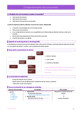 Apuntes-comportamiento-del-consumidor.pdf