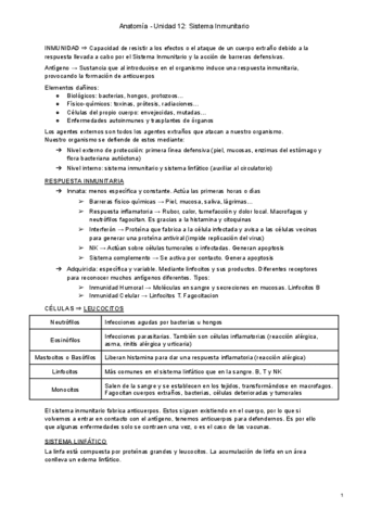 T12-Apuntes-Anatomia.pdf