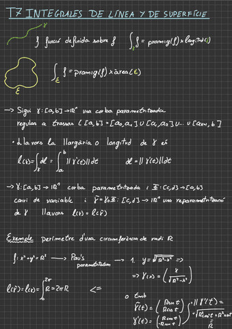 CAVEC-integral-linea-superficie.pdf