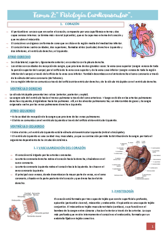 tema-cardio-2.pdf