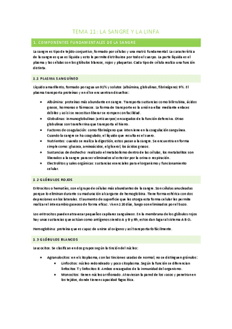 TEMA-11.pdf
