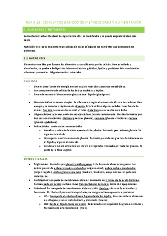TEMA-13.pdf