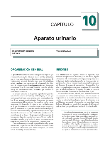Anatomia.Humana.Garcia.Porrero-cap.10.pdf